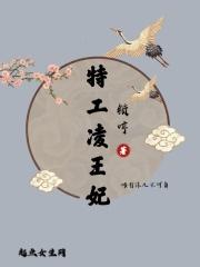 特工凌王妃