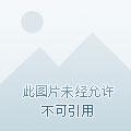 吞噬星空之开局钓上千身圣典