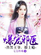 爆宠邪医：兽黑王爷，撩上瘾