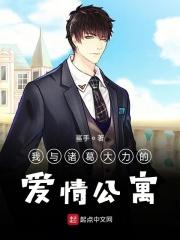 爱情公寓之诸葛大力的普通男友